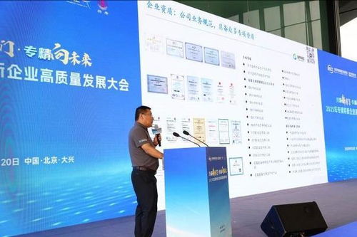 興聚新國門，專精向未來 2025專精特新企業高質量發展大會在京舉行，聚焦信息技術咨詢服務新動能